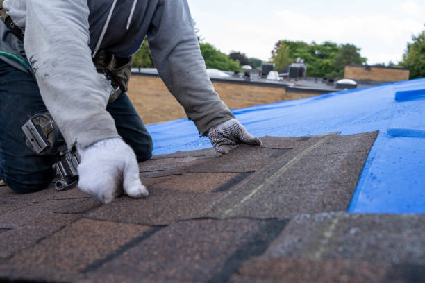 Gutter Installation and Roofing in Auburn, KY