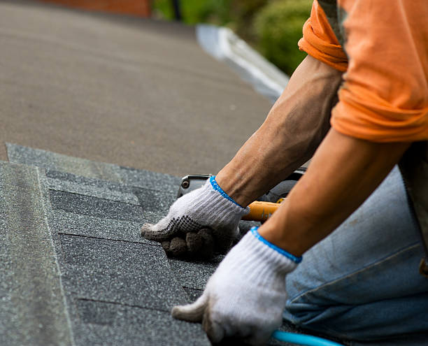Quick and Trustworthy Emergency Roof Repair Services in Auburn, KY